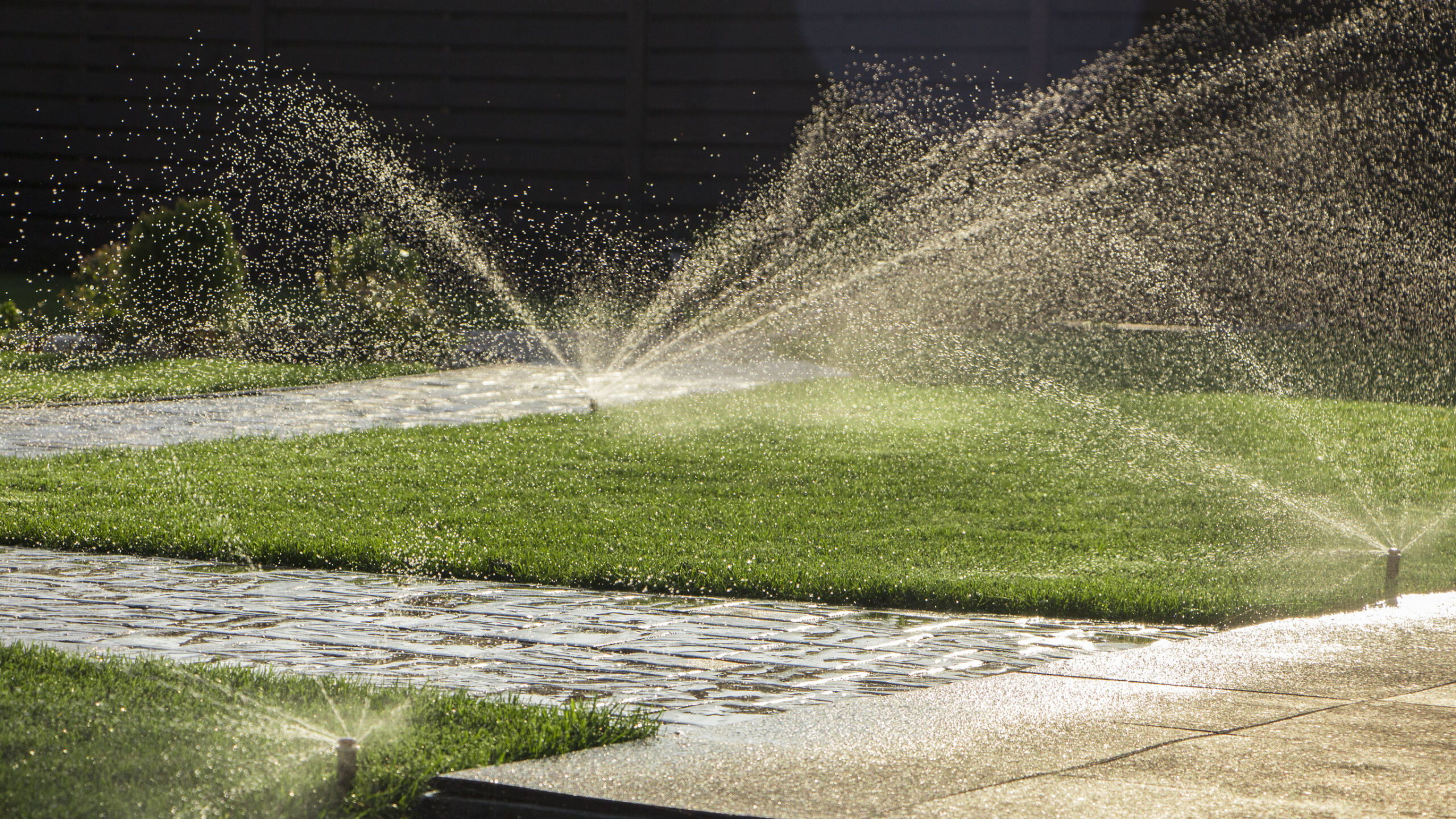A rotating sprinkler spraying a water into the backyard.